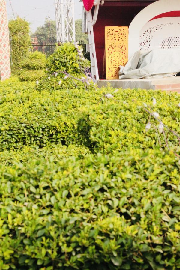 Vinayak Palace Hotel Mathura Exterior photo